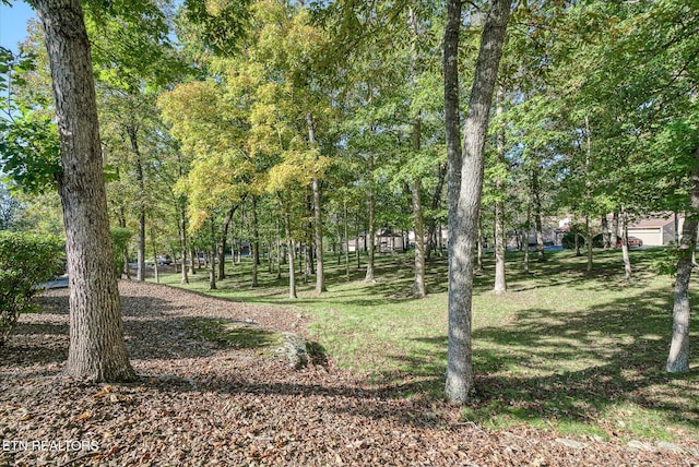 504 Druid Lndg, Crossville, TN 38558 - photo 34