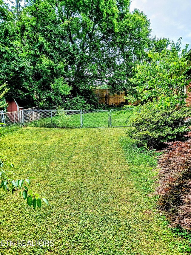 1416 Harmony Rd, Knoxville, TN 37912 - photo 5