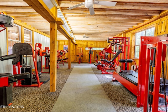 1139 Reagan Valley Rd, Tellico Plains, TN 37385 - exercise room featuring ceiling fan, wooden walls, wood ceiling, and carpet