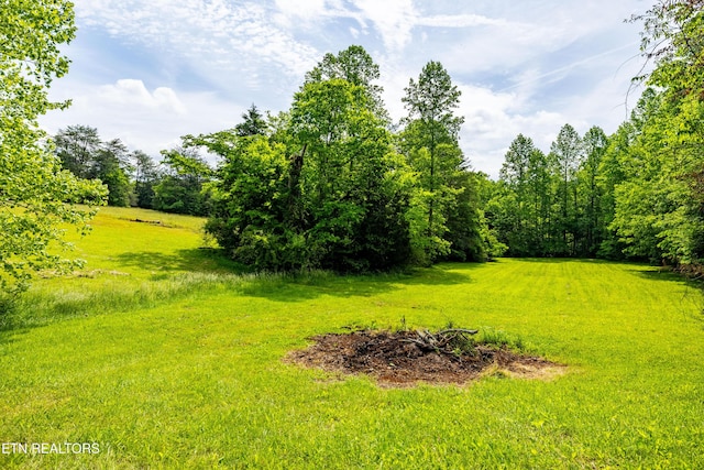 1139 Reagan Valley Rd, Tellico Plains, TN 37385 - view of green lawn