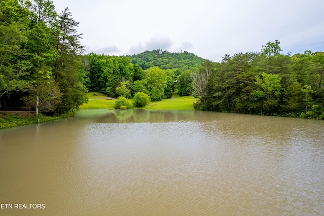 1139 Reagan Valley Rd, Tellico Plains, TN 37385 - water view featuring a heavily wooded area
