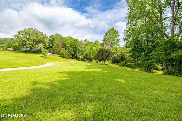 1139 Reagan Valley Rd, Tellico Plains, TN 37385 - view of grassy yard with view of wooded area