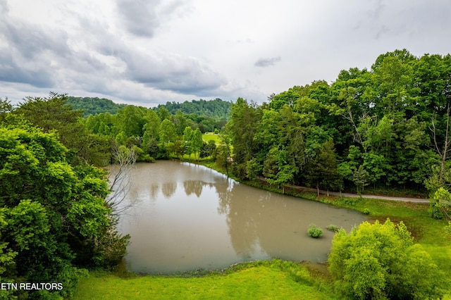 1139 Reagan Valley Rd, Tellico Plains, TN 37385 - water view featuring a heavily wooded area