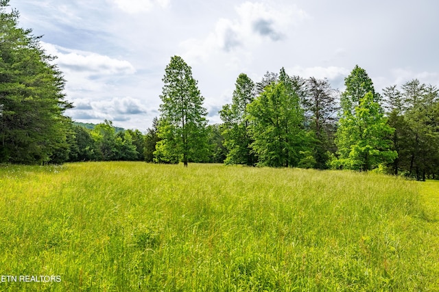 1139 Reagan Valley Rd, Tellico Plains, TN 37385 - view of woods