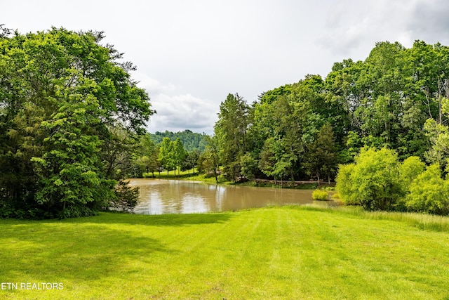 1139 Reagan Valley Rd, Tellico Plains, TN 37385 - water view with a heavily wooded area