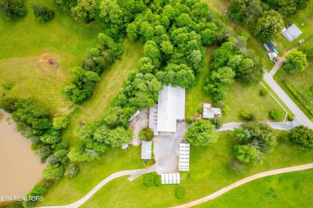 1139 Reagan Valley Rd, Tellico Plains, TN 37385 - drone / aerial view of a tree filled landscape
