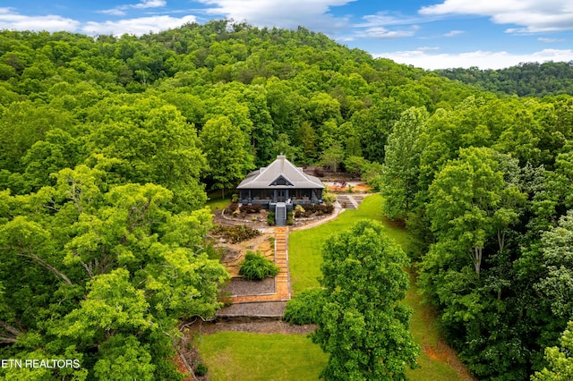 1139 Reagan Valley Rd, Tellico Plains, TN 37385 - aerial view of property and surrounding area with a heavily wooded area