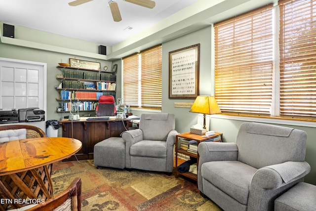 1139 Reagan Valley Rd, Tellico Plains, TN 37385 - office with healthy amount of natural light and a ceiling fan