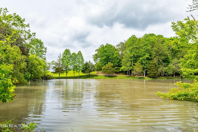 1139 Reagan Valley Rd, Tellico Plains, TN 37385 - water view