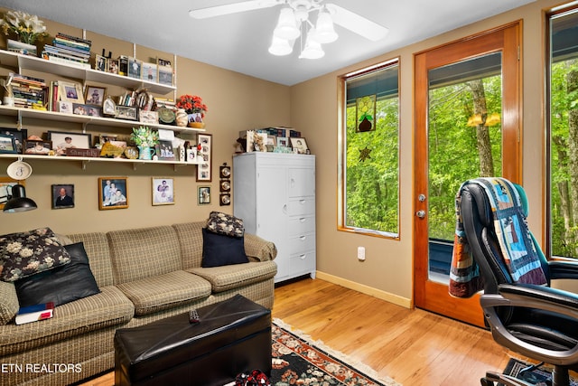 1139 Reagan Valley Rd, Tellico Plains, TN 37385 - home office with plenty of natural light, a ceiling fan, and wood finished floors