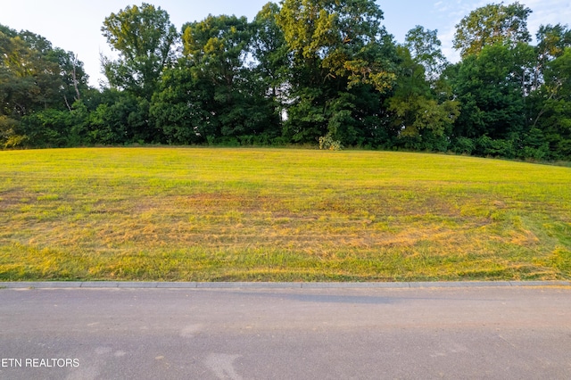 2029 River Mist Cir, New Market, TN 37820 - photo 5
