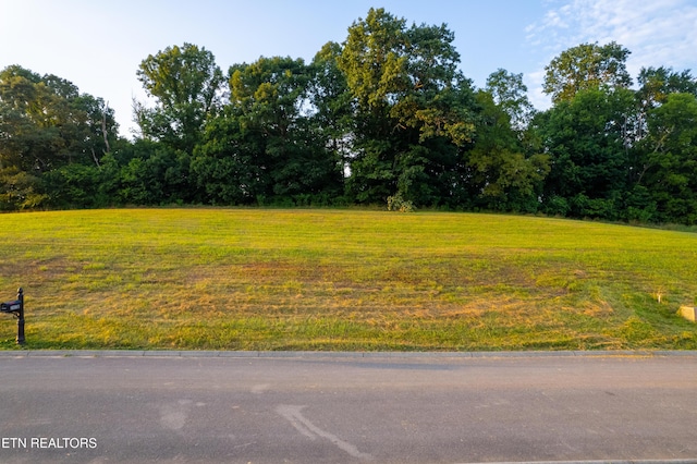 2029 River Mist Cir, New Market, TN 37820 - photo 6