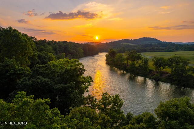 2029 River Mist Cir, New Market, TN 37820 - photo 2