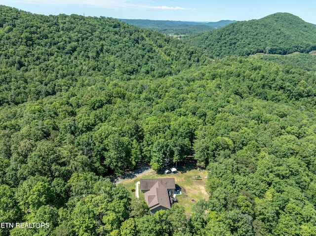204 Forest Ridge Dr, Harriman, TN 37748 - photo 26