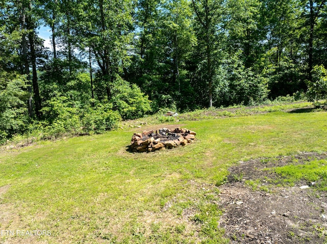 204 Forest Ridge Dr, Harriman, TN 37748 - photo 29