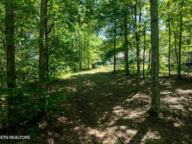 204 Forest Ridge Dr, Harriman, TN 37748 - photo 30
