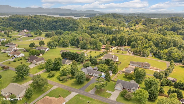 1647 Sams Dr, Dandridge, TN 37725 - bird's eye view of a mountainous background and a heavily wooded area