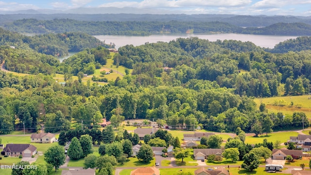 1647 Sams Dr, Dandridge, TN 37725 - aerial view of a nearby body of water and a forest