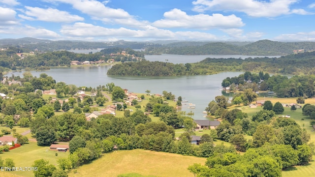 1647 Sams Dr, Dandridge, TN 37725 - aerial view of a water and mountain view and a forest