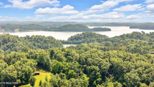 1647 Sams Dr, Dandridge, TN 37725 - aerial view of a nearby body of water and a heavily wooded area