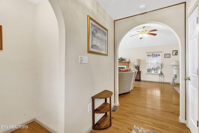 1647 Sams Dr, Dandridge, TN 37725 - hall featuring arched walkways, light wood-style floors, and baseboards