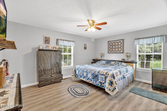 1647 Sams Dr, Dandridge, TN 37725 - bedroom with wood finished floors, baseboards, and a ceiling fan
