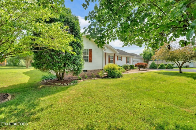 1647 Sams Dr, Dandridge, TN 37725 - view of green lawn