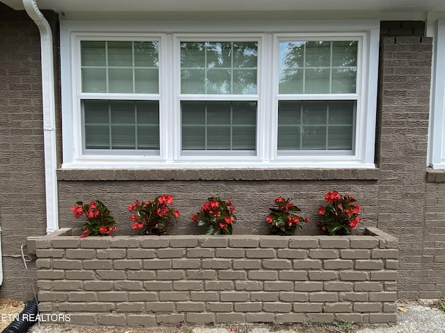 421 Oakcrest Rd, Knoxville, TN 37912 - photo 26