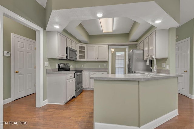 1010 Creek Brook Ln, Seymour, TN 37865 - kitchen with appliances with stainless steel finishes, a peninsula, a raised ceiling, glass insert cabinets, and light wood-style floors