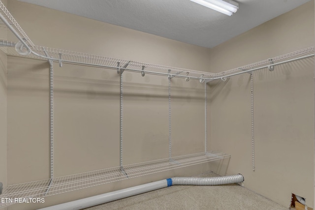 1010 Creek Brook Ln, Seymour, TN 37865 - spacious closet featuring carpet floors