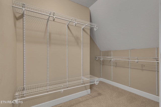 1010 Creek Brook Ln, Seymour, TN 37865 - spacious closet with lofted ceiling and carpet