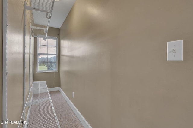 1010 Creek Brook Ln, Seymour, TN 37865 - corridor with carpet and baseboards