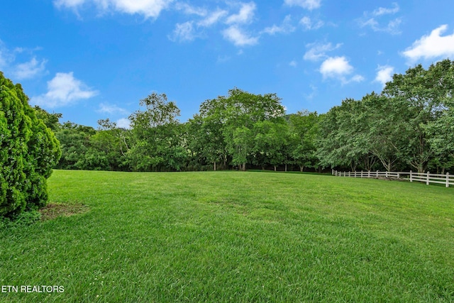 1010 Creek Brook Ln, Seymour, TN 37865 - view of yard featuring a forest view