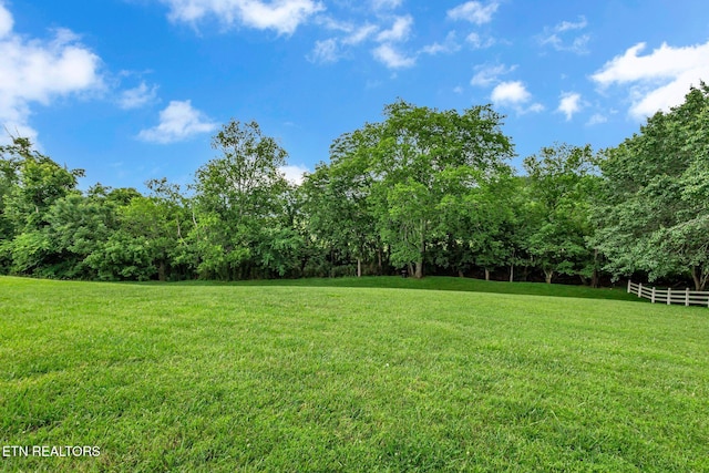 1010 Creek Brook Ln, Seymour, TN 37865 - view of yard with a forest view