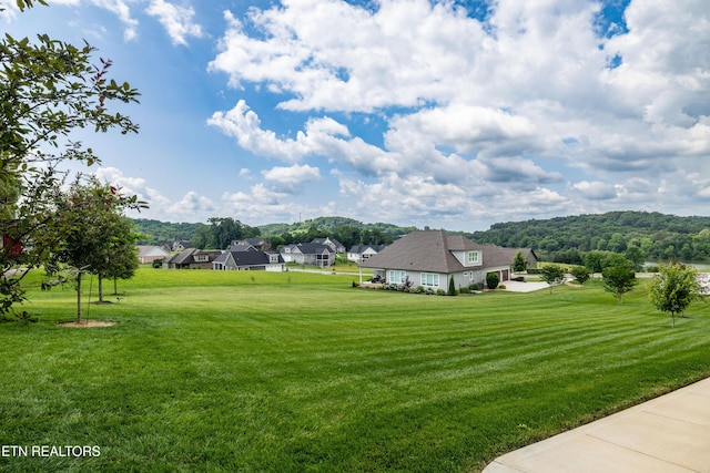 7791 Morganton Rd, Greenback, TN 37742 - photo 52