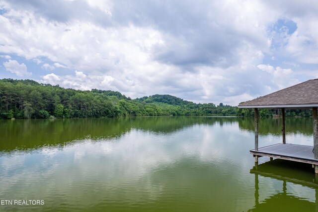 7791 Morganton Rd, Greenback, TN 37742 - photo 6