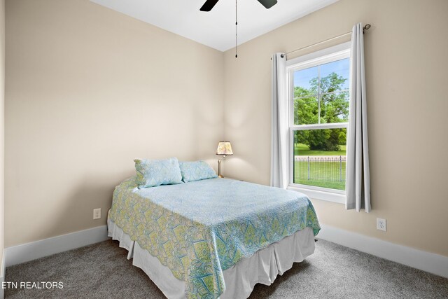 7791 Morganton Rd, Greenback, TN 37742 - photo 38