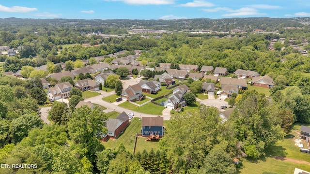 4512 Everwood Oak Ln, Knoxville, TN 37918 - photo 31
