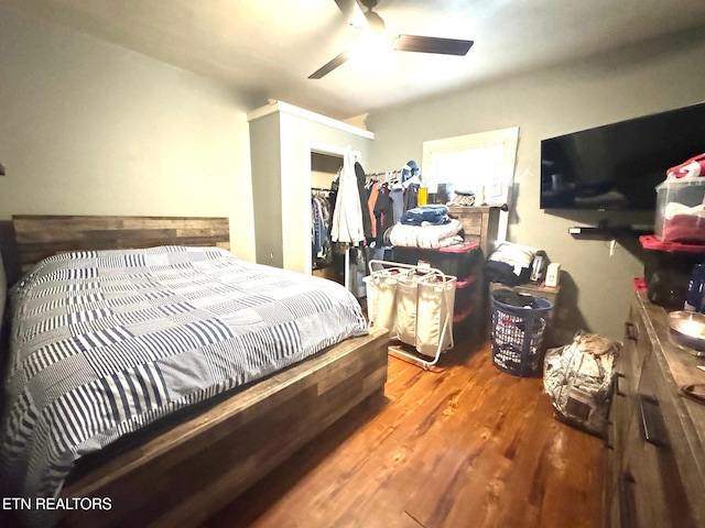 2102 Harvey St, Knoxville, TN 37917 - bedroom with wood finished floors, ceiling fan, and a spacious closet