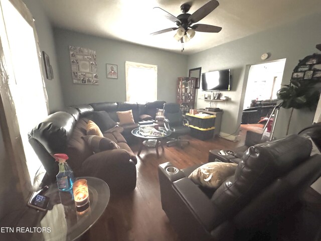 2102 Harvey St, Knoxville, TN 37917 - living room with wood finished floors and a ceiling fan