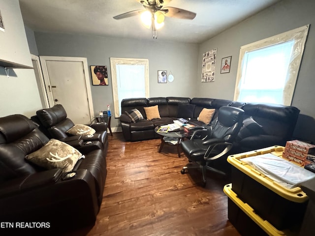 2102 Harvey St, Knoxville, TN 37917 - living area with ceiling fan and dark wood-style flooring