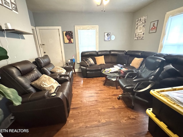 2102 Harvey St, Knoxville, TN 37917 - living room featuring wood finished floors
