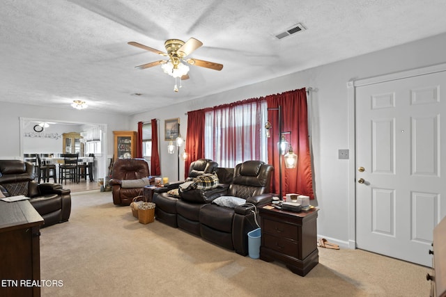 8318 Clapps Chapel Rd, Corryton, TN 37721 - living room featuring plenty of natural light, a ceiling fan, carpet, and a textured ceiling