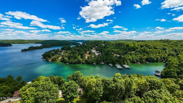 Norris View Ln, Lafollette, TN 37766