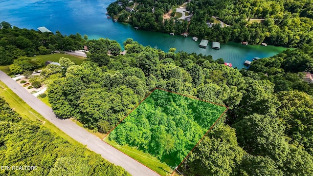 Norris View Ln, Lafollette, TN 37766