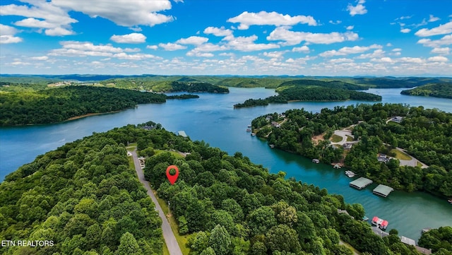 Norris View Ln, Lafollette, TN 37766
