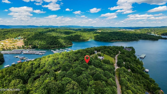 Norris View Ln, Lafollette, TN 37766