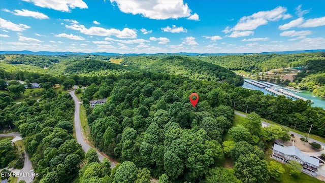 Norris View Ln, Lafollette, TN 37766
