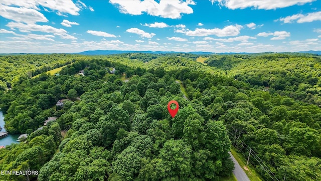 Norris View Ln, Lafollette, TN 37766