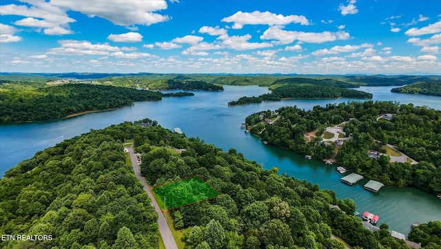 Norris View Ln, Lafollette, TN 37766